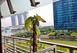 The Sail @ Marina Bay (D1), Apartment #592008961